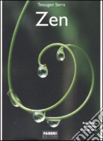 Zen. Religione, filosofia, stile di vita