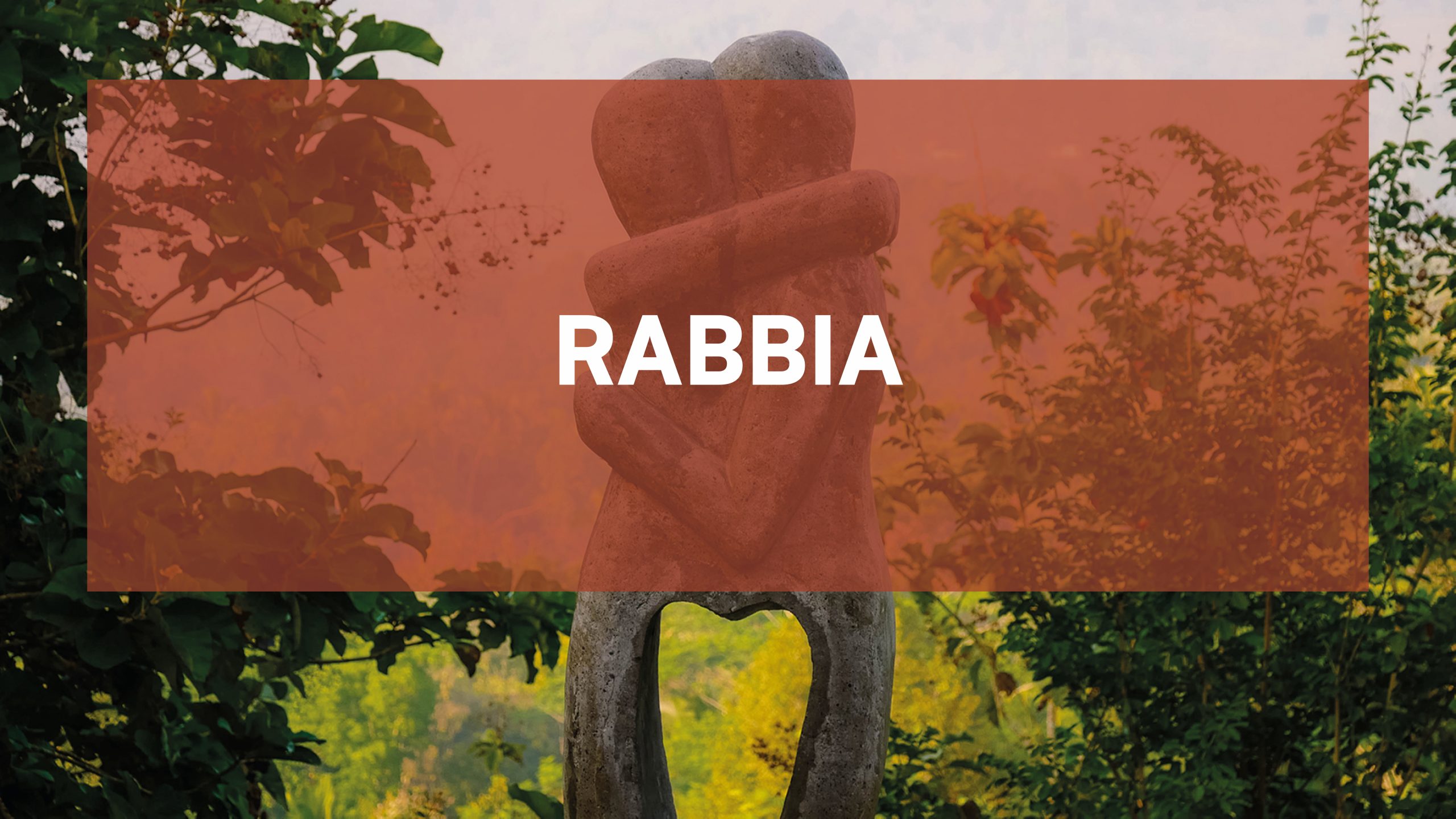 Meditazione d’amore contro la rabbia