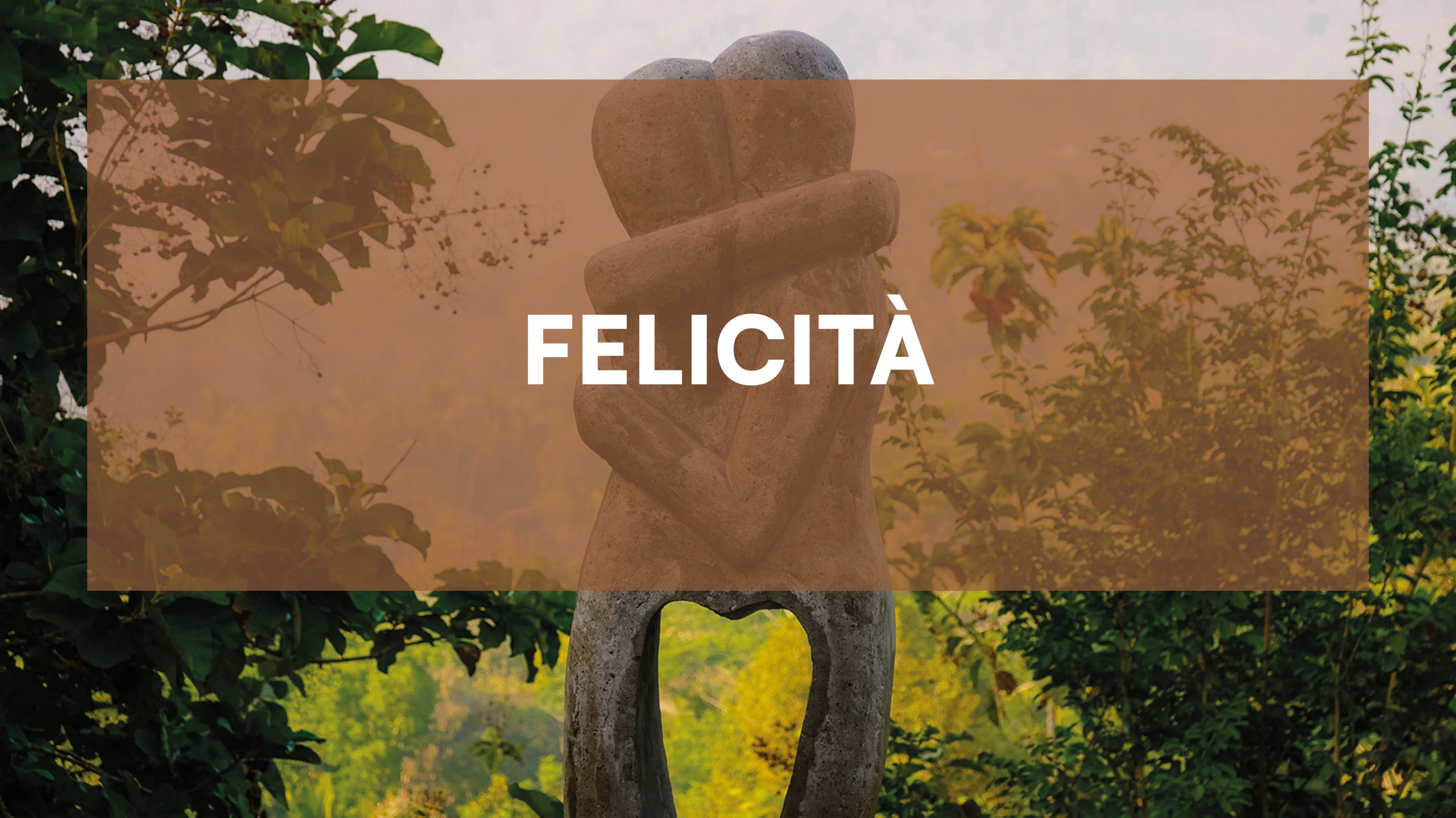 Meditazione sulla felicità