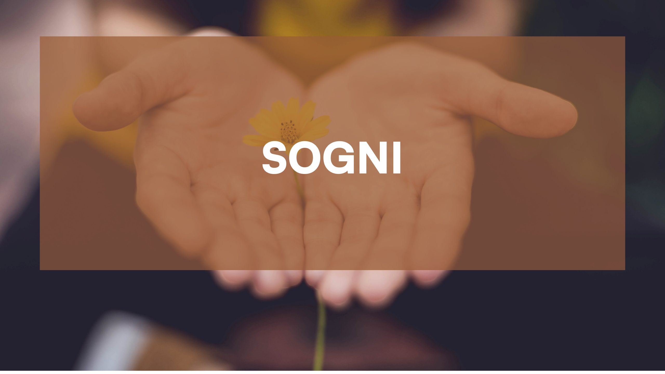 Meditazione sui sogni