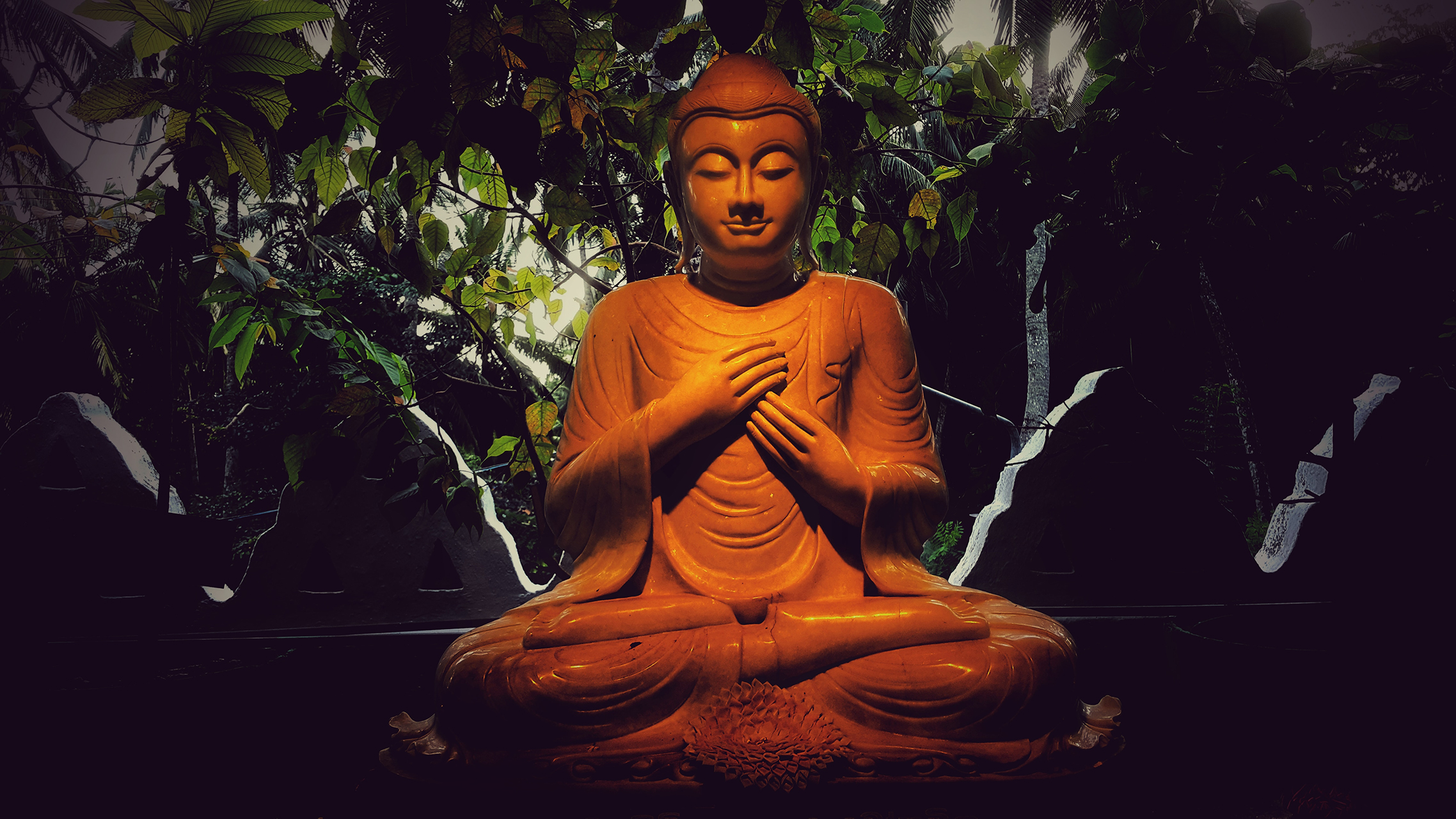Meditazioni zen per un giorno