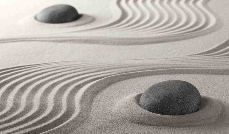 Una spiritualità “razionale”: lo Zen ?