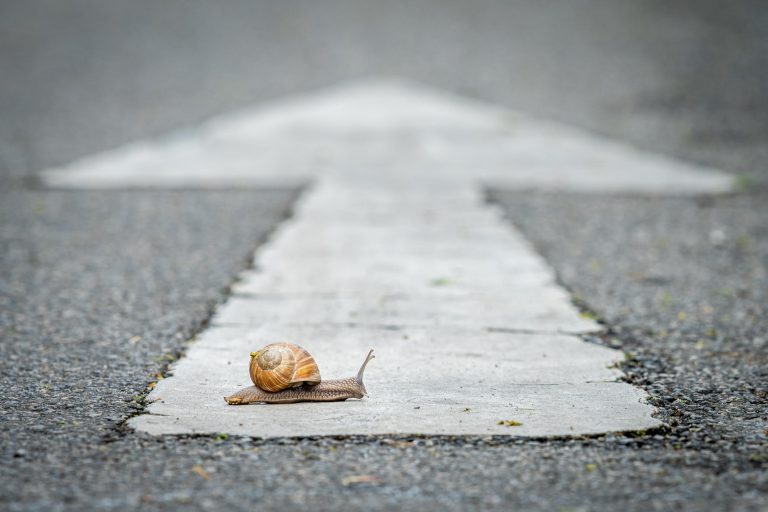 Tempo e urgenza: abitare l’istante