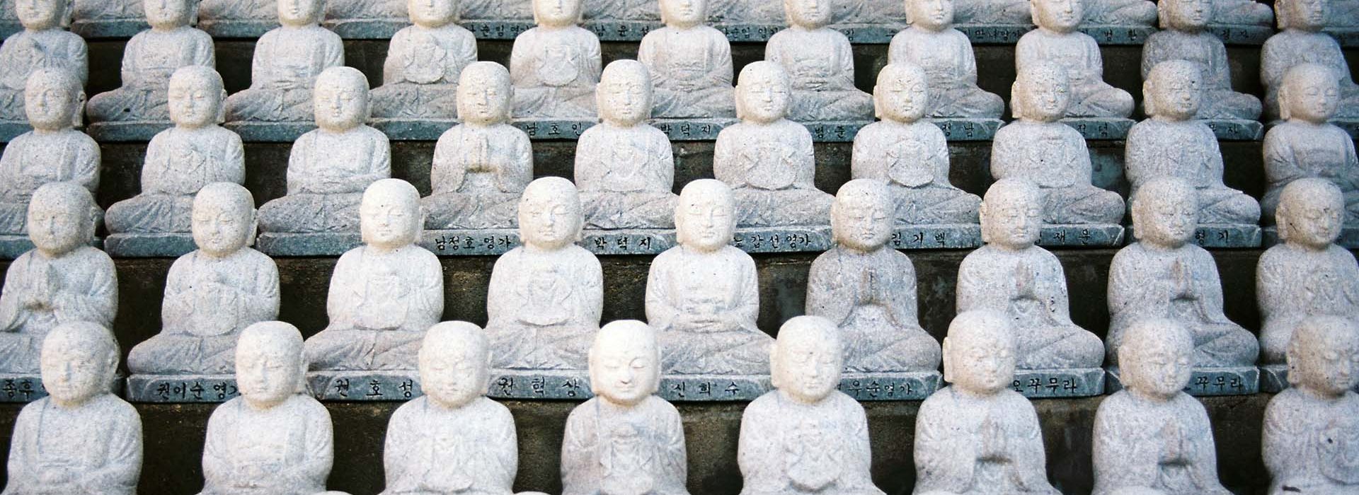 Buddhismo Zen Corso di studi triennale